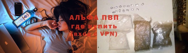 дмт Белокуриха