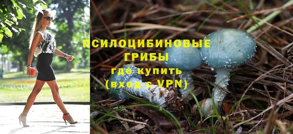 дживик Богданович