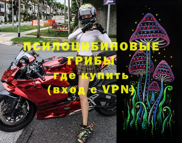 стаф Белоозёрский