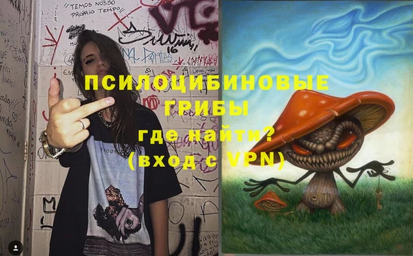 стаф Белоозёрский